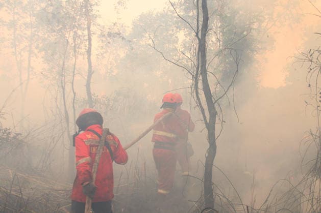 Indonesian firefighters battle wildfires in South Sumatra OGAN ILIR, INDONESIA - AUGUST 22: Indonesian firefighters from Manggala Agni try to extinguish wildfires in Pamulutan Regency, Ogan Ilir, South Sumatra, Indonesia, on August 22, 2026. Indonesian President Prabowo Subianto personally inspected the wildfires in Kalimantan on August 22 and instructed swift, integrated and simultaneous efforts to address the fires. These instructions included increasing the number of field personnel, deploying more than 17 additional water-bombing helicopters, and deploying 1,500 additional Indonesian National Armed Forces (TNI) personnel. Muhammad Fajri Anadolu South Sumatra Indonesia. Editorial use only. Please get in touch for any other usage.  Copyright: x2026xAnadoluxMuhammadxFajrix