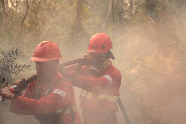 Indonesian firefighters battle wildfires in South Sumatra OGAN ILIR, INDONESIA - AUGUST 22: Indonesian firefighters from Manggala Agni try to extinguish wildfires in Pamulutan Regency, Ogan Ilir, South Sumatra, Indonesia, on August 22, 2026. Indonesian President Prabowo Subianto personally inspected the wildfires in Kalimantan on August 22 and instructed swift, integrated and simultaneous efforts to address the fires. These instructions included increasing the number of field personnel, deploying more than 17 additional water-bombing helicopters, and deploying 1,500 additional Indonesian National Armed Forces (TNI) personnel. Muhammad Fajri Anadolu South Sumatra Indonesia. Editorial use only. Please get in touch for any other usage.  Copyright: x2026xAnadoluxMuhammadxFajrix