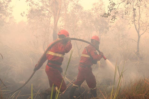 Indonesian firefighters battle wildfires in South Sumatra OGAN ILIR, INDONESIA - AUGUST 22: Indonesian firefighters from Manggala Agni try to extinguish wildfires in Pamulutan Regency, Ogan Ilir, South Sumatra, Indonesia, on August 22, 2026. Indonesian President Prabowo Subianto personally inspected the wildfires in Kalimantan on August 22 and instructed swift, integrated and simultaneous efforts to address the fires. These instructions included increasing the number of field personnel, deploying more than 17 additional water-bombing helicopters, and deploying 1,500 additional Indonesian National Armed Forces (TNI) personnel. Muhammad Fajri Anadolu South Sumatra Indonesia. Editorial use only. Please get in touch for any other usage.  Copyright: x2026xAnadoluxMuhammadxFajrix