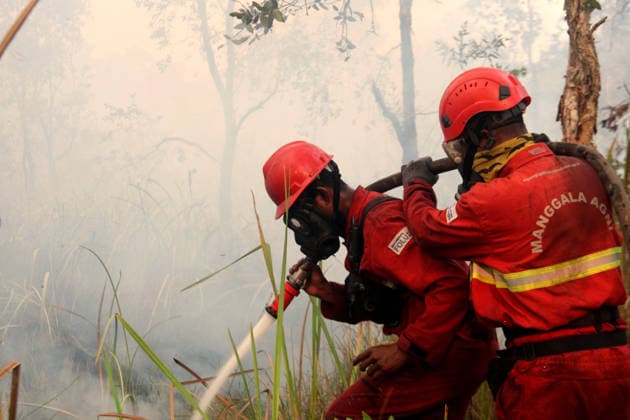 Indonesian firefighters battle wildfires in South Sumatra OGAN ILIR, INDONESIA - AUGUST 22: Indonesian firefighters from Manggala Agni try to extinguish wildfires in Pamulutan Regency, Ogan Ilir, South Sumatra, Indonesia, on August 22, 2026. Indonesian President Prabowo Subianto personally inspected the wildfires in Kalimantan on August 22 and instructed swift, integrated and simultaneous efforts to address the fires. These instructions included increasing the number of field personnel, deploying more than 17 additional water-bombing helicopters, and deploying 1,500 additional Indonesian National Armed Forces (TNI) personnel. Muhammad Fajri Anadolu South Sumatra Indonesia. Editorial use only. Please get in touch for any other usage.  Copyright: x2026xAnadoluxMuhammadxFajrix