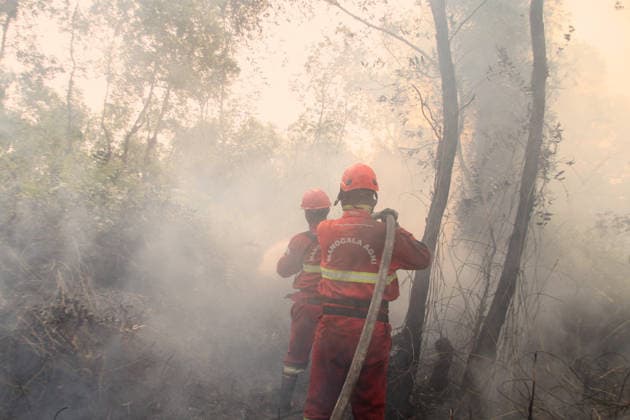 Indonesian firefighters battle wildfires in South Sumatra OGAN ILIR, INDONESIA - AUGUST 22: Indonesian firefighters from Manggala Agni try to extinguish wildfires in Pamulutan Regency, Ogan Ilir, South Sumatra, Indonesia, on August 22, 2026. Indonesian President Prabowo Subianto personally inspected the wildfires in Kalimantan on August 22 and instructed swift, integrated and simultaneous efforts to address the fires. These instructions included increasing the number of field personnel, deploying more than 17 additional water-bombing helicopters, and deploying 1,500 additional Indonesian National Armed Forces (TNI) personnel. Muhammad Fajri Anadolu South Sumatra Indonesia. Editorial use only. Please get in touch for any other usage.  Copyright: x2026xAnadoluxMuhammadxFajrix