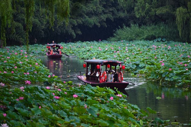 (260823) -- BEIJING, Aug. 23, 2026 -- Tourists take a boat to enjoy lotus flowers at Zizhuyuan Park in Beijing, capital of China, Aug. 23, 2026. ) CHINA-BEIJING-LOTUS FLOWERS (CN) XinxYuewei 