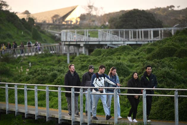 PENGUIN VACCINE PHILLIP ISLAND, Patrons make their way to viewing platforms ahead of the arrival of Little Penguins at Summerlands in Philip Island, Victoria, Sunday, August 23, 2026. Authorities are administering vaccinations to at risk species of birds. ( NO ARCHIVING PHILLIP ISLAND VICTORIA AUSTRALIA  Copyright: xJOELxCARRETTx 20260823190154894049