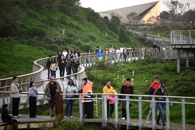 PENGUIN VACCINE PHILLIP ISLAND, Patrons make their way to viewing platforms ahead of the arrival of Little Penguins at Summerlands in Philip Island, Victoria, Sunday, August 23, 2026. Authorities are administering vaccinations to at risk species of birds. ( NO ARCHIVING PHILLIP ISLAND VICTORIA AUSTRALIA  Copyright: xJOELxCARRETTx 20260823131661666997