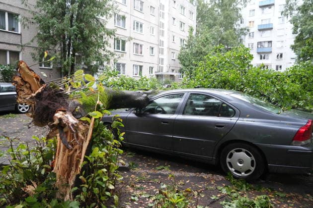 (260823) -- RIGA, Aug. 23, 2026 -- This photo taken on Aug. 23, 2026 shows the aftermath of a powerful storm in Riga, Latvia. A powerful cyclone swept northward across the three Baltic states on Saturday, killing two as strong winds, torrential rain and thunderstorms ravaged Lithuania, Latvia and Estonia. Meteorological data showed Saturday s storm was the most destructive to hit Latvia since January 2005. (Photo by Xinhua) LATVIA-RIGA-STORM-AFTERMATH EdijsxPalens 