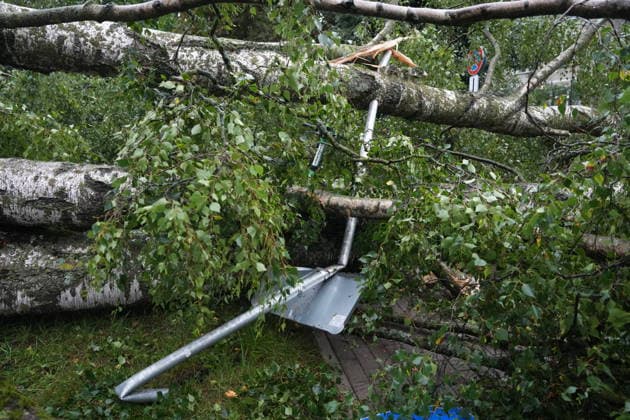 (260823) -- RIGA, Aug. 23, 2026 -- This photo taken on Aug. 23, 2026 shows the aftermath of a powerful storm in Riga, Latvia. A powerful cyclone swept northward across the three Baltic states on Saturday, killing two as strong winds, torrential rain and thunderstorms ravaged Lithuania, Latvia and Estonia. Meteorological data showed Saturday s storm was the most destructive to hit Latvia since January 2005. (Photo by Xinhua) LATVIA-RIGA-STORM-AFTERMATH EdijsxPalens 