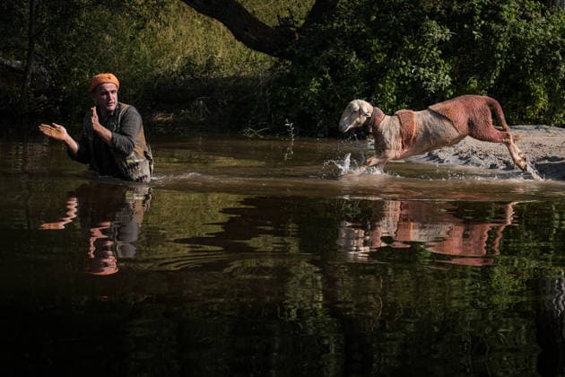 Shepherds and adorned sheep compete in Turkiye s 853-year-old river crossing contest DENIZLI, TURKIYE - AUGUST 23: Shepherds guide their sheep to cross the Buyuk Menderes River during the 853-year-old traditional Sheep Crossing Water Contest in the Cal district of Denizli, Turkiye on August 23, 2026. This year s historic event saw 47 shepherds with 63 flocks participating from surrounding districts. Waiting their turn since sunrise, the shepherds led their painted and decorated leader sheep ( elci ) to guide the rest of the flock across the river. Mahmut Serdar Alakus Anadolu Denizli Turkey. Editorial use only. Please get in touch for any other usage.  Copyright: x2026xAnadoluxMahmutxSerdarxAlakusx