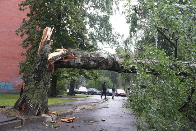 (260823) -- RIGA, Aug. 23, 2026 -- This photo taken on Aug. 23, 2026 shows the aftermath of a powerful storm in Riga, Latvia. A powerful cyclone swept northward across the three Baltic states on Saturday, killing two as strong winds, torrential rain and thunderstorms ravaged Lithuania, Latvia and Estonia. Meteorological data showed Saturday s storm was the most destructive to hit Latvia since January 2005. (Photo by Xinhua) LATVIA-RIGA-STORM-AFTERMATH EdijsxPalens 