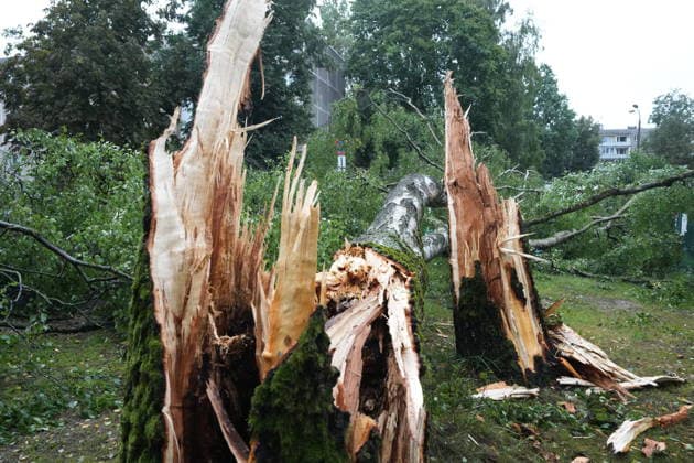 (260823) -- RIGA, Aug. 23, 2026 -- This photo taken on Aug. 23, 2026 shows the aftermath of a powerful storm in Riga, Latvia. A powerful cyclone swept northward across the three Baltic states on Saturday, killing two as strong winds, torrential rain and thunderstorms ravaged Lithuania, Latvia and Estonia. Meteorological data showed Saturday s storm was the most destructive to hit Latvia since January 2005. (Photo by Xinhua) LATVIA-RIGA-STORM-AFTERMATH EdijsxPalens 