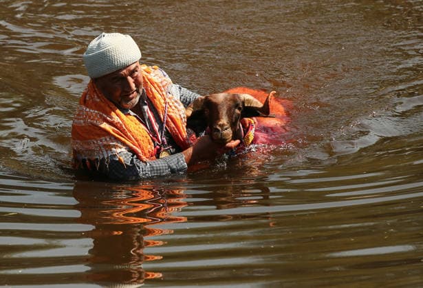 Shepherds and adorned sheep compete in Turkiye s 853-year-old river crossing contest DENIZLI, TURKIYE - AUGUST 23: Shepherds guide their sheep to cross the Buyuk Menderes River during the 853-year-old traditional Sheep Crossing Water Contest in the Cal district of Denizli, Turkiye on August 23, 2026. This year s historic event saw 47 shepherds with 63 flocks participating from surrounding districts. Waiting their turn since sunrise, the shepherds led their painted and decorated leader sheep ( elci ) to guide the rest of the flock across the river. Mahmut Serdar Alakus Anadolu Denizli Turkey. Editorial use only. Please get in touch for any other usage.  Copyright: x2026xAnadoluxMahmutxSerdarxAlakusx