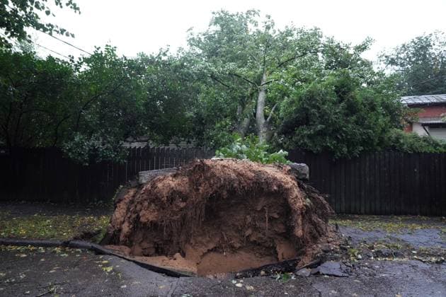 August 23, 2026, Riga, Latvija: The aftermath of a powerful storm is seen in Riga, Latvia, Aug. 23, 2026. Fallen and uprooted trees are scattered across residential areas, damaging parked cars, blocking roads and walkways, and posing a threat to nearby buildings. The storm, which swept across Latvia on Saturday evening and overnight, caused widespread damage across the country, with Riga recording the highest number of reports of storm-related incidents. As of Sunday morning, emergency services had received nearly 1,900 reports of damage caused by strong winds nationwide. Riga Latvija - ZUMAp305 20260823_zip_p305_001 Copyright: xEdijsxPalensx