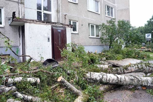 August 23, 2026, Riga, Latvija: The aftermath of a powerful storm is seen in Riga, Latvia, Aug. 23, 2026. Fallen and uprooted trees are scattered across residential areas, damaging parked cars, blocking roads and walkways, and posing a threat to nearby buildings. The storm, which swept across Latvia on Saturday evening and overnight, caused widespread damage across the country, with Riga recording the highest number of reports of storm-related incidents. As of Sunday morning, emergency services had received nearly 1,900 reports of damage caused by strong winds nationwide. Riga Latvija  - ZUMAp305 20260823_zip_p305_002 Copyright: xEdijsxPalensx