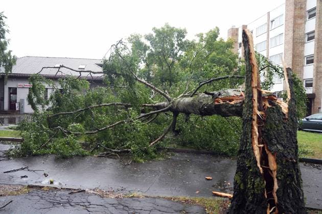 August 23, 2026, Riga, Latvija: The aftermath of a powerful storm is seen in Riga, Latvia, Aug. 23, 2026. Fallen and uprooted trees are scattered across residential areas, damaging parked cars, blocking roads and walkways, and posing a threat to nearby buildings. The storm, which swept across Latvia on Saturday evening and overnight, caused widespread damage across the country, with Riga recording the highest number of reports of storm-related incidents. As of Sunday morning, emergency services had received nearly 1,900 reports of damage caused by strong winds nationwide. Riga Latvija  - ZUMAp305 20260823_zip_p305_015 Copyright: xEdijsxPalensx