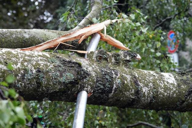 August 23, 2026, Riga, Latvija: The aftermath of a powerful storm is seen in Riga, Latvia, Aug. 23, 2026. Fallen and uprooted trees are scattered across residential areas, damaging parked cars, blocking roads and walkways, and posing a threat to nearby buildings. The storm, which swept across Latvia on Saturday evening and overnight, caused widespread damage across the country, with Riga recording the highest number of reports of storm-related incidents. As of Sunday morning, emergency services had received nearly 1,900 reports of damage caused by strong winds nationwide. Riga Latvija - ZUMAp305 20260823_zip_p305_013 Copyright: xEdijsxPalensx