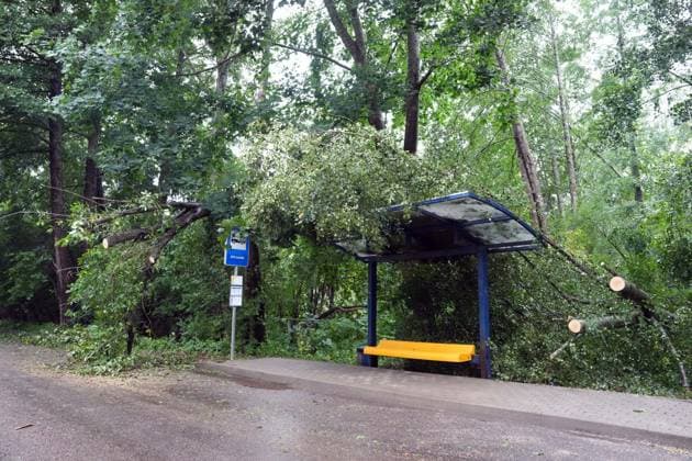 August 23, 2026, Riga, Latvija: The aftermath of a powerful storm is seen in Riga, Latvia, Aug. 23, 2026. Fallen and uprooted trees are scattered across residential areas, damaging parked cars, blocking roads and walkways, and posing a threat to nearby buildings. The storm, which swept across Latvia on Saturday evening and overnight, caused widespread damage across the country, with Riga recording the highest number of reports of storm-related incidents. As of Sunday morning, emergency services had received nearly 1,900 reports of damage caused by strong winds nationwide. Riga Latvija - ZUMAp305 20260823_zip_p305_023 Copyright: xEdijsxPalensx