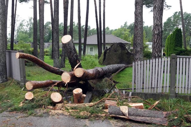 August 23, 2026, Riga, Latvija: The aftermath of a powerful storm is seen in Riga, Latvia, Aug. 23, 2026. Fallen and uprooted trees are scattered across residential areas, damaging parked cars, blocking roads and walkways, and posing a threat to nearby buildings. The storm, which swept across Latvia on Saturday evening and overnight, caused widespread damage across the country, with Riga recording the highest number of reports of storm-related incidents. As of Sunday morning, emergency services had received nearly 1,900 reports of damage caused by strong winds nationwide. Riga Latvija - ZUMAp305 20260823_zip_p305_026 Copyright: xEdijsxPalensx