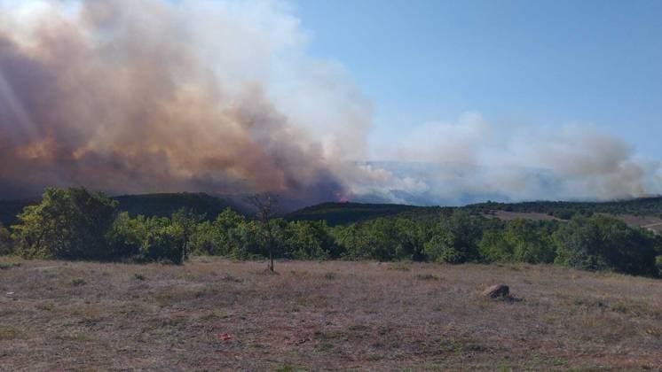 Forest fire in Kocaeli KOCAELI, TURKIYE - AUGUST 23: A view of a forest fire as firefighting teams respond with ground and aerial interventions in Kocaeli, Turkiye, on August 23, 2026. Fatih Gurbuz Anadolu Kocaeli Turkey. Editorial use only. Please get in touch for any other usage.  Copyright: x2026xAnadoluxFatihxGurbuzx