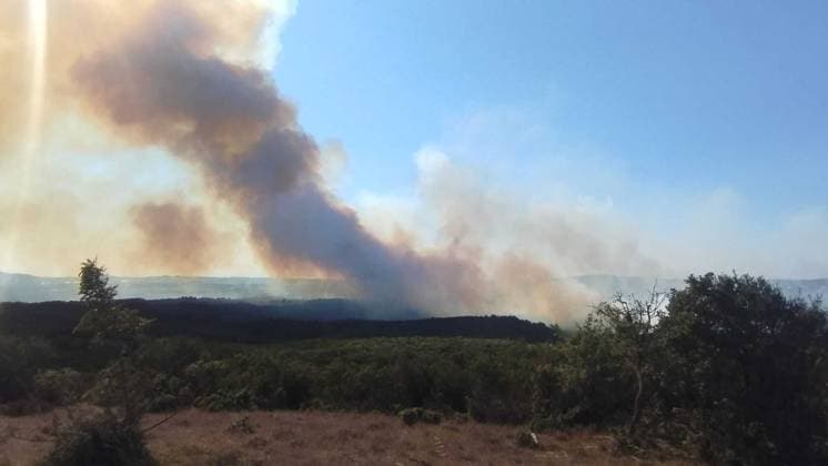 Forest fire in Kocaeli KOCAELI, TURKIYE - AUGUST 23: A view of a forest fire as firefighting teams respond with ground and aerial interventions in Kocaeli, Turkiye, on August 23, 2026. Fatih Gurbuz Anadolu Kocaeli Turkey. Editorial use only. Please get in touch for any other usage.  Copyright: x2026xAnadoluxFatihxGurbuzx
