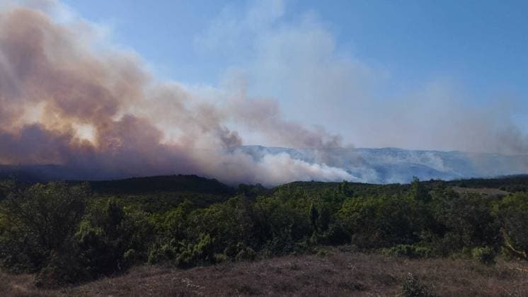 Forest fire in Kocaeli KOCAELI, TURKIYE - AUGUST 23: A view of a forest fire as firefighting teams respond with ground and aerial interventions in Kocaeli, Turkiye, on August 23, 2026. Fatih Gurbuz Anadolu Kocaeli Turkey. Editorial use only. Please get in touch for any other usage.  Copyright: x2026xAnadoluxFatihxGurbuzx