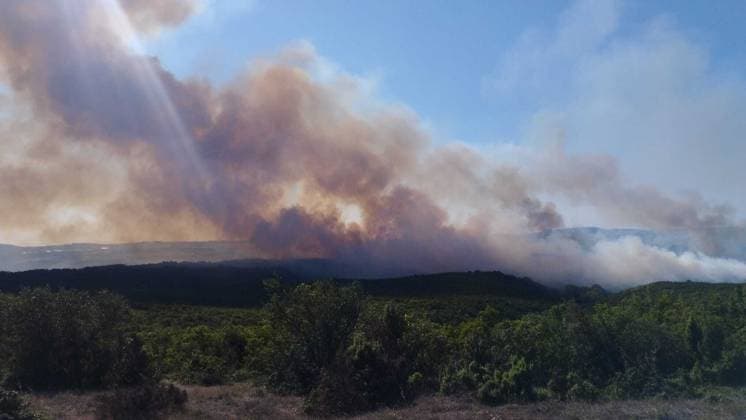 Forest fire in Kocaeli KOCAELI, TURKIYE - AUGUST 23: A view of a forest fire as firefighting teams respond with ground and aerial interventions in Kocaeli, Turkiye, on August 23, 2026. Fatih Gurbuz Anadolu Kocaeli Turkey. Editorial use only. Please get in touch for any other usage.  Copyright: x2026xAnadoluxFatihxGurbuzx