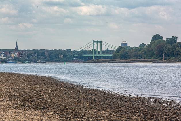 Blick auf das ausgetrocknete Flussbett des Rheins und Porz auf der rechten Rheinseite, gesehen vom Weißer Rheinbogen bei Köln-Sürth. Von den Tiefstständen haben sich die Pegelständde am Rhein inzwischen wieder leicht entfernt. Im Hintergrund ist die Rodenkirchener Brücke zu sehen. Niedrigwasser Rhein *** View of the dried-up riverbed of the Rhine and Porz on the right bank of the Rhine, as seen from the Weißer Rheinbogen near Cologne-Sürth. Water levels on the Rhine have since risen slightly from their lowest points. The Rodenkirchen Bridge can be seen in the background. Low water on the Rhine