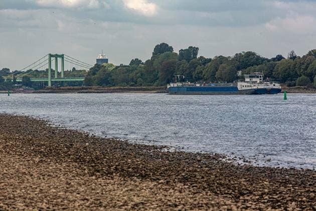 Blick auf das ausgetrocknete Flussbett des Rheins und Porz auf der rechten Rheinseite, gesehen vom Weißer Rheinbogen bei Köln-Sürth. Von den Tiefstständen haben sich die Pegelständde am Rhein inzwischen wieder leicht entfernt. Im Hintergrund ist die Rodenkirchener Brücke zu sehen. Niedrigwasser Rhein *** View of the dried-up riverbed of the Rhine and Porz on the right bank of the Rhine, seen from the Weißer Rheinbogen near Cologne-Sürth. Water levels on the Rhine have since risen slightly from their lowest points. The Rodenkirchen Bridge can be seen in the background. Low water on the Rhine