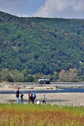 23.8.2026 Dürre Der extrem niederige Wasserstand des Rhein. Große Teile des Binger Lochs an de Nahemündung liegen trocken. Die Menschen spazieren dort wo sonst meterhoch das Wasser fließt. Die Fahrrinne für die Schifffahrt ist nur eingeschränkt nutzbar. Bingen Rhein Rheinland Pfalz Deutschland *** August 23, 2026 Drought The water level of the Rhine is extremely low. Large parts of the Binger Loch at the mouth of the Nahe are dry. People are walking where the water would normally flow meters high. The shipping channel is only partially usable. Bingen, Rhine, Rhineland-Palatinate, Germany