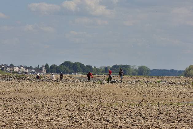 23.8.2026 Dürre Der extrem niederige Wasserstand des Rhein. Große Teile des Binger Lochs an de Nahemündung liegen trocken. Die Menschen spazieren dort wo sonst meterhoch das Wasser fließt. Die Fahrrinne für die Schifffahrt ist nur eingeschränkt nutzbar. Bingen Rhein Rheinland Pfalz Deutschland *** August 23, 2026 Drought The water level of the Rhine is extremely low. Large parts of the Binger Loch at the mouth of the Nahe are dry. People are walking where the water would normally flow meters high. The shipping channel is only partially usable. Bingen, Rhine, Rhineland-Palatinate, Germany