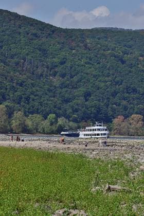 23.8.2026 Dürre Der extrem niederige Wasserstand des Rhein. Große Teile des Binger Lochs an de Nahemündung liegen trocken. Die Menschen spazieren dort wo sonst meterhoch das Wasser fließt. Die Fahrrinne für die Schifffahrt ist nur eingeschränkt nutzbar. Bingen Rhein Rheinland Pfalz Deutschland *** August 23, 2026 Drought The water level of the Rhine is extremely low. Large parts of the Binger Loch at the mouth of the Nahe are dry. People are walking where the water would normally flow meters high. The shipping channel is only partially usable. Bingen, Rhine, Rhineland-Palatinate, Germany