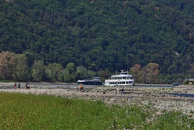 23.8.2026 Dürre Der extrem niederige Wasserstand des Rhein. Große Teile des Binger Lochs an de Nahemündung liegen trocken. Die Menschen spazieren dort wo sonst meterhoch das Wasser fließt. Die Fahrrinne für die Schifffahrt ist nur eingeschränkt nutzbar. Bingen Rhein Rheinland Pfalz Deutschland *** August 23, 2026 Drought The water level of the Rhine is extremely low. Large parts of the Binger Loch at the mouth of the Nahe are dry. People are walking where the water would normally flow meters high. The shipping channel is only partially usable. Bingen, Rhine, Rhineland-Palatinate, Germany