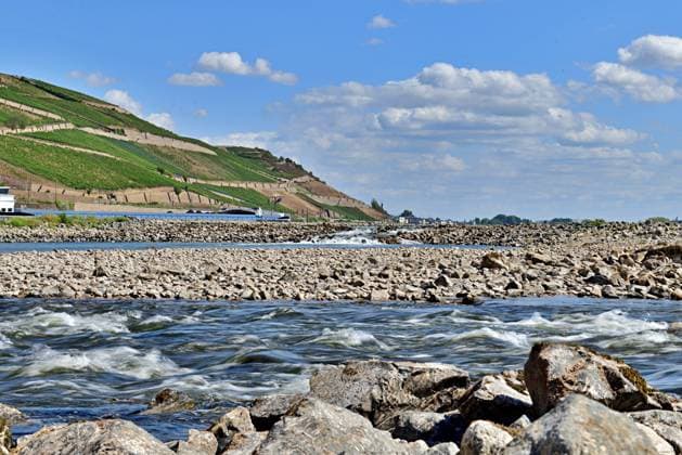 23.8.2026 Dürre Der extrem niederige Wasserstand des Rhein. Große Teile des Binger Lochs an de Nahemündung liegen trocken. Die Menschen spazieren dort wo sonst meterhoch das Wasser fließt. Die Fahrrinne für die Schifffahrt ist nur eingeschränkt nutzbar. Im Flussbett bilden sich flache Stromschnellen und Fälle. Bingen Rhein Rheinland Pfalz Deutschland *** August 23, 2026 Drought The water level of the Rhine is extremely low. Large sections of the Binger Loch near the Nahe estuary are dry. People are walking where the water would normally flow meters high. The shipping channel is only partially usable. Shallow areas are forming in the riverbed rapids and waterfalls are forming in the riverbed. Bingen, Rhine, Rhineland-Palatinate, Germa