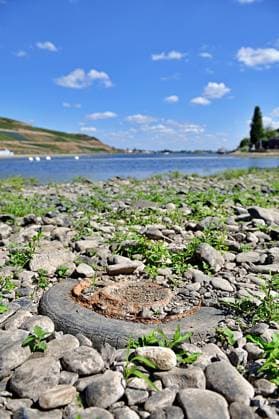 23.8.2026 Dürre Der extrem niederige Wasserstand des Rhein. Große Teile des Binger Lochs an de Nahemündung liegen trocken. Die Menschen spazieren dort wo sonst meterhoch das Wasser fließt. Die Fahrrinne für die Schifffahrt ist nur eingeschränkt nutzbar. Bingen Rhein Rheinland Pfalz Deutschland *** August 23, 2026 Drought The water level of the Rhine is extremely low. Large parts of the Binger Loch at the mouth of the Nahe River are dry. People are walking where the water would normally flow several meters high. The shipping channel is only partially usable. Bingen, Rhine, Rhineland-Palatinate, Germany