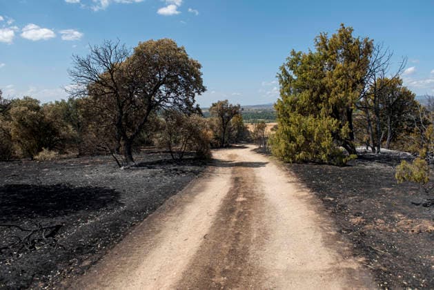 A wildfire in Aldea del Fresno, Madrid, forces the evacuation of this town and Villamantilla Vista after the fire passed through, on August 23, 2026, in Aldea del Fresno, Madrid, Spain. The wildfire that originated in Aldea del Fresno was downgraded from Operational Level 1 to Level 0 under the Civil Protection Plan on August 20 following a very favorable progression of the fire. AUGUST 23, 2026 FIRE EMbers BURNT LAND NATURE ÁBURNT TREES CHARRED FIRE SIERRA OESTE FIRE S PATH BURNT LANDSCAPE LANDSCAPE Aldea del Fresno Madrid Aldea del Fresno Madrid, Spain  Copyright: xGabrixSolerax 7728929