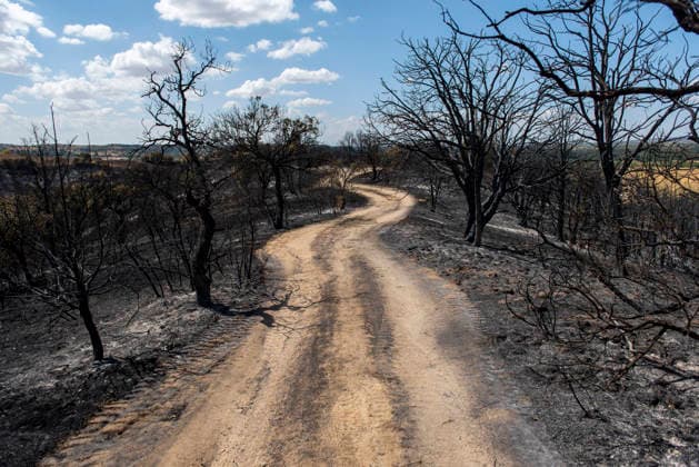 A wildfire in Aldea del Fresno, Madrid, forces the evacuation of this town and Villamantilla Vista after the fire passed through, on August 23, 2026, in Aldea del Fresno, Madrid, Spain. The wildfire that originated in Aldea del Fresno was downgraded from Operational Level 1 to Level 0 under the Civil Protection Plan on August 20 following a very favorable progression of the fire. AUGUST 23, 2026 FIRE EMbers BURNT LAND NATURE ÁBURNT TREES CHARRED FIRE SIERRA OESTE FIRE S PATH BURNT LANDSCAPE LANDSCAPE Aldea del Fresno Madrid Aldea del Fresno Madrid, Spain  Copyright: xGabrixSolerax 7728930