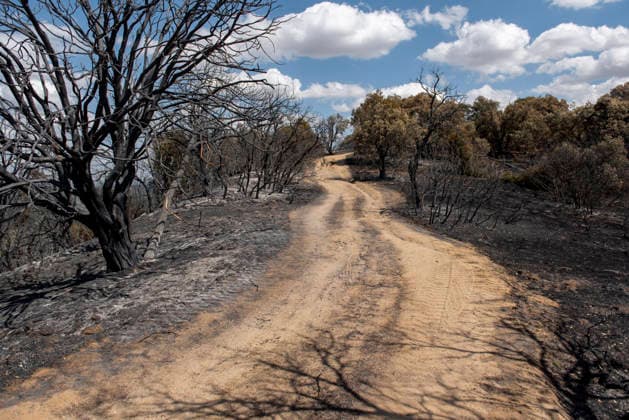 A wildfire in Aldea del Fresno, Madrid, forces the evacuation of this town and Villamantilla Vista after the fire passed through, on August 23, 2026, in Aldea del Fresno, Madrid, Spain. The wildfire that originated in Aldea del Fresno was downgraded from Operational Level 1 to Level 0 under the Civil Protection Plan on August 20 following a very favorable progression of the fire. AUGUST 23, 2026 FIRE EMbers BURNT LAND NATURE ÁBURNT TREES CHARRED FIRE SIERRA OESTE FIRE S PATH BURNT LANDSCAPE LANDSCAPE Aldea del Fresno Madrid Aldea del Fresno Madrid, Spain  Copyright: xGabrixSolerax 7728931