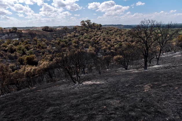 A wildfire in Aldea del Fresno, Madrid, forces the evacuation of this town and Villamantilla Vista after the fire passed through, on August 23, 2026, in Aldea del Fresno, Madrid, Spain. The wildfire that originated in Aldea del Fresno was downgraded from Operational Level 1 to Level 0 under the Civil Protection Plan on August 20, following a very favorable progression of the fire. AUGUST 23, 2026 FIRE EMAKES BURNT LAND NATURE ABURNT TREES CHARRED FIRE WESTERN MOUNTAINS FIRE S PATH BURNT LANDSCAPE LANDSCAPE Aldea del Fresno Madrid Aldea del Fresno Madrid, Spain  Copyright: xGabrixSolerax 7728934
