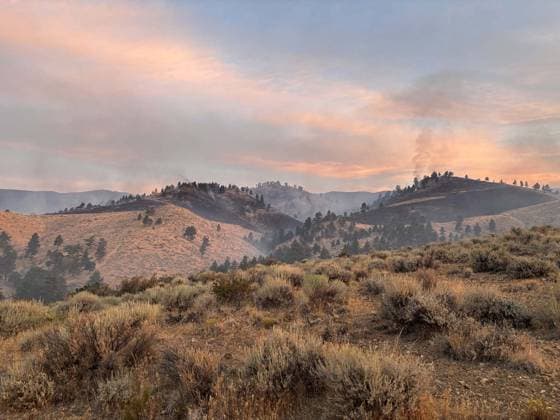 Fast-moving Hawk Fire threatens Reno, forcing thousands to evacuate RENO, NEVADA, UNITED STATES - AUGUST 23: (----EDITORIAL USE ONLY - MANDATORY CREDIT - WASHOE COUNTY SHERIFF S OFFICE HANDOUT - NO MARKETING NO ADVERTISING CAMPAIGNS - DISTRIBUTED AS A SERVICE TO CLIENTS----) The Hawk Fire burns off Hawk Meadow Trail, approximately one mile north of Cold Creek Trail in the Somersett area, northwest of Reno, Nevada, United States, on August 23, 2026. Washoe County Sheriff s Office Handout Anadolu Reno United States. Editorial use only. Please get in touch for any other usage.  Copyright: x2026xAnadoluxWashoexCountyxSheriff sxOffice Handoutx