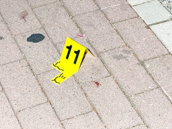 Herten: Schüsse in Café – vier Personen von Polizei abgeführt 7aIMG: 0570391 Großeinsatz an der Ewaldstraße – Blutflecken und zerbrochenes Glas vor dem Café, Straße für Ermittlungen gesperrtNordrhein-Westfalen, Herten, Deutschland *** Herten: Shots Fired in Café – Four People Taken Away by Police 7aIMG 0570391 Large-scale police operation on Ewaldstraße – Bloodstains and broken glass in front of the café; street closed for the investigation North Rhine-Westphalia, Herten, Germany Copyright: 7aktuell.dex xMarcxGruber 0570391 20260823_7a_hertensch_570391