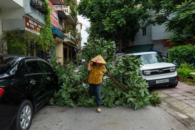 Typhoon Narra floods Lang Son, Vietnam LANG SON, VIETNAM - AUGUST 24: A resident removes fallen tree branches from a street during cleanup operations following severe weather in Lang Son, Vietnam, on August 24, 2026. Heavy rains associated with Typhoon No. 4 caused flooding and damage to homes, roads and businesses across the province. Magdalena Chodownik Anadolu Lang Son Viet Nam. Editorial use only. Please get in touch for any other usage.  Copyright: x2026xAnadoluxMagdalenaxChodownikx