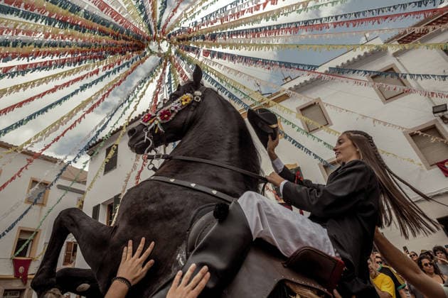 August 24, 2026, Ferreries, Menorca Balearic Islands, Spain: A caixer, or horse rider, rears his horse amid a cheering crowd during the traditional Jaleo at the Sant Bartomeu Festival in Ferreries. Ferreries Spain - ZUMAo105 20260824_fap_o105_012 Copyright: xMatthiasxOesterlex