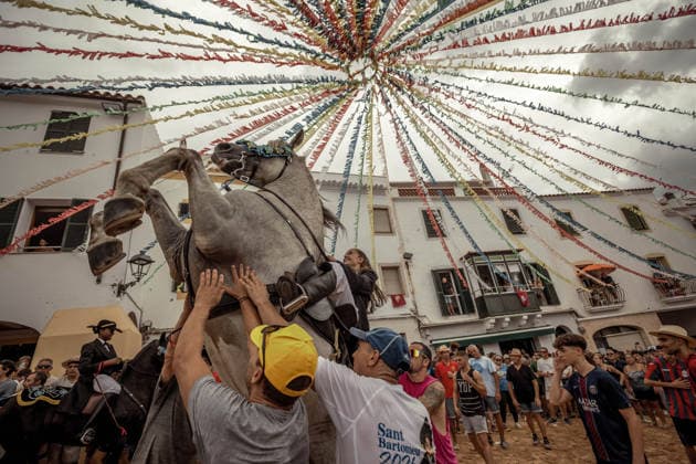 August 24, 2026, Ferreries, Menorca Balearic Islands, Spain: A caixer, or horse rider, rears his horse amid a cheering crowd during the traditional Jaleo at the Sant Bartomeu Festival in Ferreries. Ferreries Spain - ZUMAo105 20260824_fap_o105_013 Copyright: xMatthiasxOesterlex
