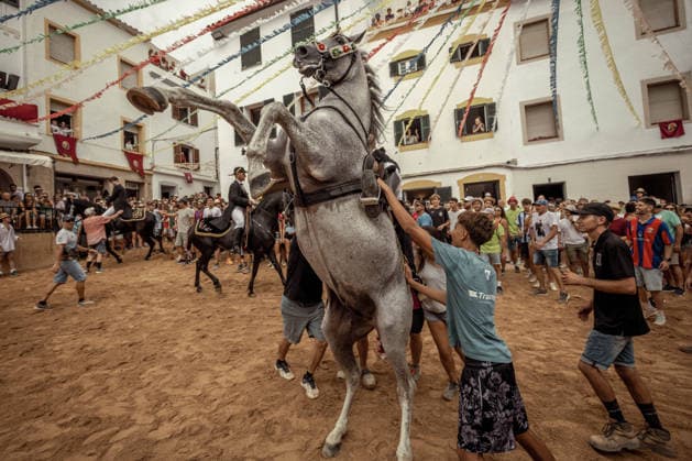 August 24, 2026, Ferreries, Menorca Balearic Islands, Spain: A caixer, or horse rider, rears his horse amid a cheering crowd during the traditional Jaleo at the Sant Bartomeu Festival in Ferreries. Ferreries Spain - ZUMAo105 20260824_fap_o105_030 Copyright: xMatthiasxOesterlex