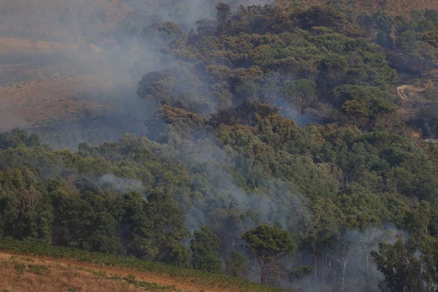 Aerial firefighting efforts battle forest fire near Trapani in Sicily, Italy TRAPANI, ITALY - AUGUST 24: Firefighting aircraft and helicopters battle a forest fire on the slopes of Mount Polizo near Trapani on the Italian island of Sicily, on August 24, 2026. Emergency teams launched an aerial operation, deployed three helicopters and two firefighting planes to contain the blaze and prevent it from spreading across the forested terrain. Alberto Lo Bianco Anadolu Trapani Italy. Editorial use only. Please get in touch for any other usage.  Copyright: x2026xAnadoluxAlbertoxLoxBiancox