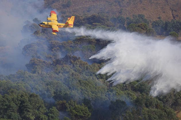 Aerial firefighting efforts battle forest fire near Trapani in Sicily, Italy TRAPANI, ITALY - AUGUST 24: Firefighting aircraft and helicopters battle a forest fire on the slopes of Mount Polizo near Trapani on the Italian island of Sicily, on August 24, 2026. Emergency teams launched an aerial operation, deployed three helicopters and two firefighting planes to contain the blaze and prevent it from spreading across the forested terrain. Alberto Lo Bianco Anadolu Trapani Italy. Editorial use only. Please get in touch for any other usage.  Copyright: x2026xAnadoluxAlbertoxLoxBiancox