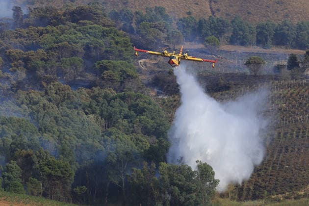 Aerial firefighting efforts battle forest fire near Trapani in Sicily, Italy TRAPANI, ITALY - AUGUST 24: Firefighting aircraft and helicopters battle a forest fire on the slopes of Mount Polizo near Trapani on the Italian island of Sicily, on August 24, 2026. Emergency teams launched an aerial operation, deployed three helicopters and two firefighting planes to contain the blaze and prevent it from spreading across the forested terrain. Alberto Lo Bianco Anadolu Trapani Italy. Editorial use only. Please get in touch for any other usage.  Copyright: x2026xAnadoluxAlbertoxLoxBiancox