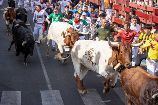 August 25, 2026, Madrid, Spain: Several runners run through a street during the first bull run of the San Sebastian de los Reyes festivities..First bull run of the San Sebastian de los Reyes festivities, a town located north of Madrid, with bulls from the Hermanos Tardeu ranch. The San Sebastian de los Reyes festivities, also known as the Sanse Festival or Little Pamplona, are celebrated in honor of the Holy Christ of the Remedies and take place every year during the last week of August. Madrid Spain - ZUMAs197 20260825_aaa_s197_001 Copyright: xDavidxCanalesx