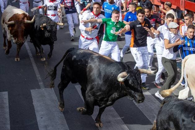 August 25, 2026, Madrid, Spain: Several runners run through a street during the first bull run of the San Sebastian de los Reyes festivities..First bull run of the San Sebastian de los Reyes festivities, a town located north of Madrid, with bulls from the Hermanos Tardeu ranch. The San Sebastian de los Reyes festivities, also known as the Sanse Festival or Little Pamplona, are celebrated in honor of the Holy Christ of the Remedies and take place every year during the last week of August. Madrid Spain - ZUMAs197 20260825_aaa_s197_008 Copyright: xDavidxCanalesx