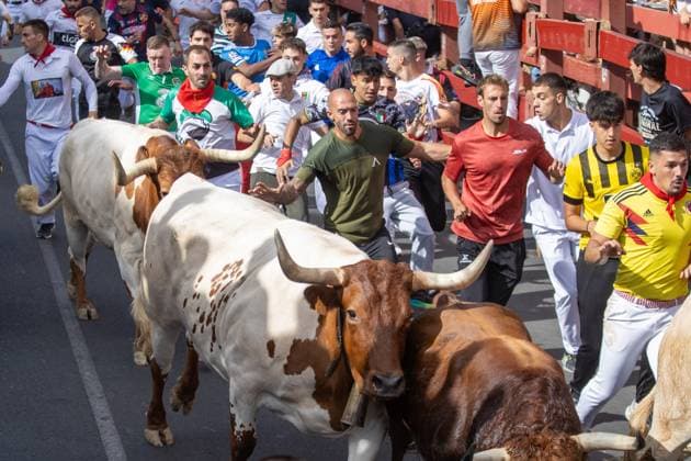 August 25, 2026, Madrid, Spain: Several runners run through a street during the first bull run of the San Sebastian de los Reyes festivities..First bull run of the San Sebastian de los Reyes festivities, a town located north of Madrid, with bulls from the Hermanos Tardeu ranch. The San Sebastian de los Reyes festivities, also known as the Sanse Festival or Little Pamplona, are celebrated in honor of the Holy Christ of the Remedies and take place every year during the last week of August. Madrid Spain - ZUMAs197 20260825_aaa_s197_011 Copyright: xDavidxCanalesx