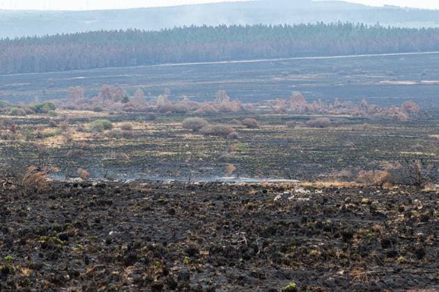 Landscape pictured at a visit at the Botrange panorama deck, in Waimes, on Tuesday 25 August 2026. European commissionner Lahbib visit several sites regarding the fire in the Hautes Fagnes (Hugh Fens) wich started on August 14th with 3000 hectares (on a total of 4500) impacted in the nature reserve.  EMILExWINDAL 184244382