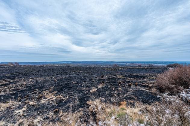 Landscape pictured at a visit at the Botrange panorama deck, in Waimes, on Tuesday 25 August 2026. European commissionner Lahbib visit several sites regarding the fire in the Hautes Fagnes (Hugh Fens) wich started on August 14th with 3000 hectares (on a total of 4500) impacted in the nature reserve.  EMILExWINDAL 184244587